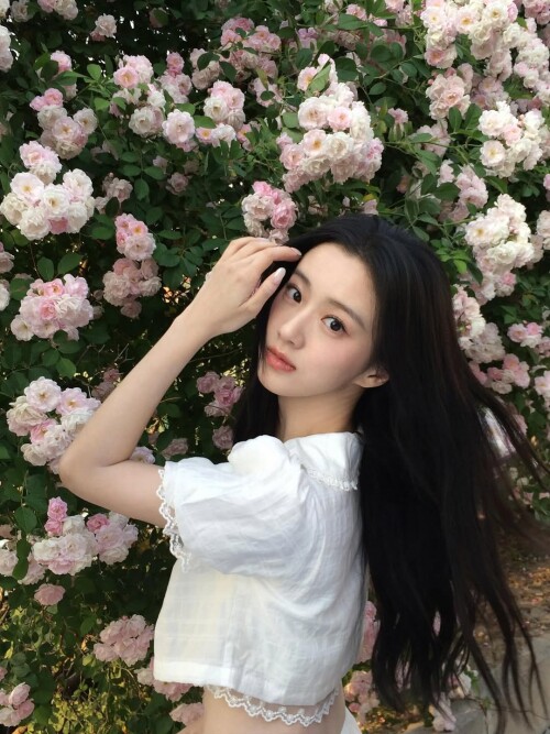 baoshangen.ivy 52744d67 3