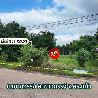 hMZSY