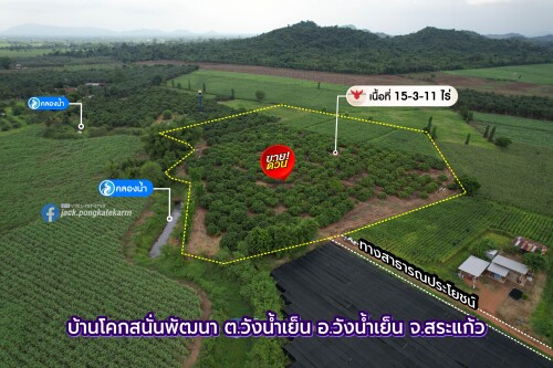 rdTlq.jpg