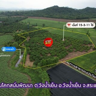 rdTlq
